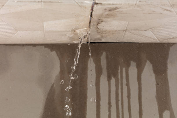 Professional Burst Pipe Cleanup technician working in Millington, TN